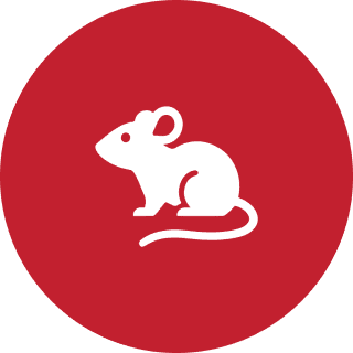 White mouse silhouette on red circle background.