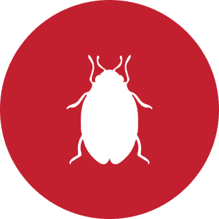 White insect silhouette on red circle background.