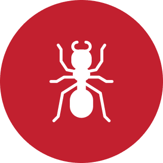 White ant icon on red circle background.